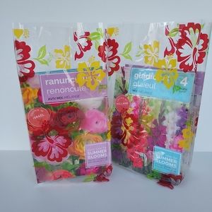 10 pack of Hibiscus Cello Bags